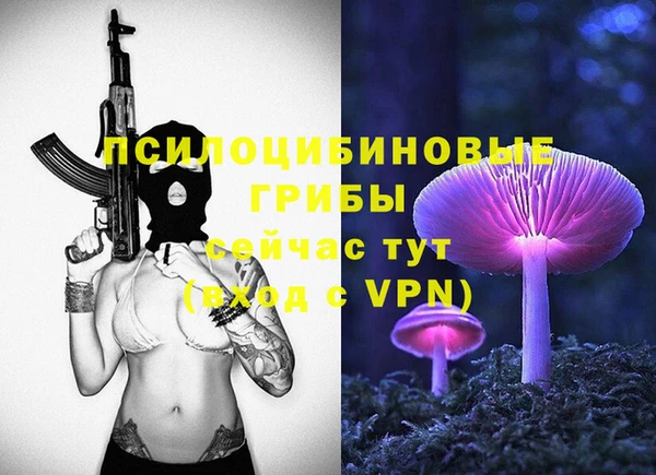 apvp Алзамай