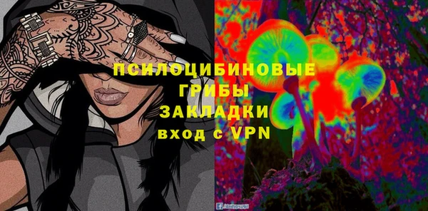 apvp Алзамай