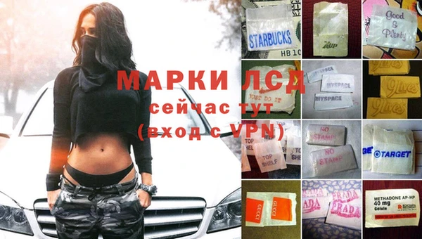 мяу мяу мука Алексеевка