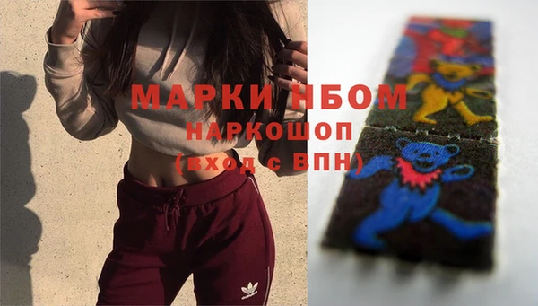 apvp Алзамай